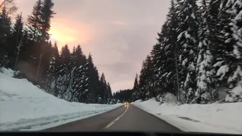 TITNOL AUTOECOLE VERT TACOT